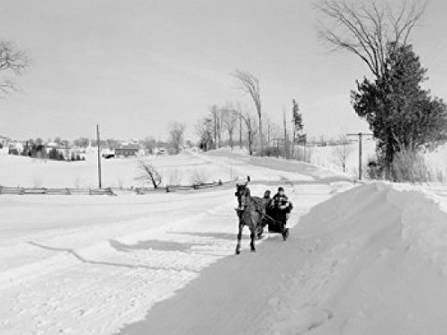 Couple riding in horsedrawn sleigh Poster Print (18 x 24)
