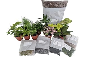Amphibian Terrarium Kit