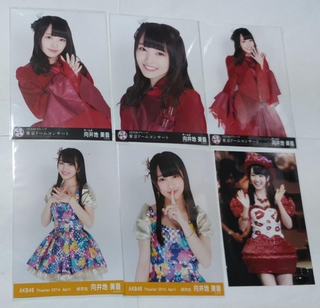 向井地美音 AKB48 生写真 成人式コンサート ランダム 3枚コンプ