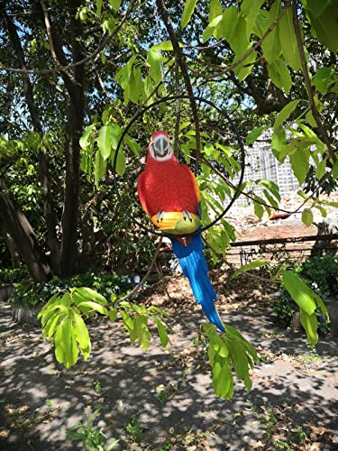 Fafajoy Tropical Parrot Statue Sculpture Tropical Hanging Parrot On Ring Lawn Decor For Nature Lovers Tropical Bird Collectors By Gifts thumb #5