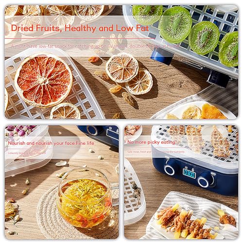 Food Freeze Dryer Machine for Home,2025 New Digital Freeze Dryer,Multi-Layer Fruit Freeze Dryer,Adjustable Temperature Meat Freeze Dryer,Compact Food Dehydrator for Home Kitchen (Blue-3)