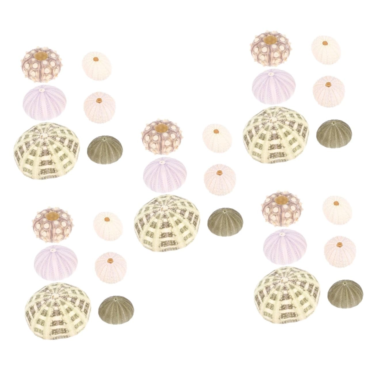PRETYZOOM 5 Set Conchiglia di Conchiglia Piante Aeree Mescolare Le Conchiglie di Ricci di Mare Decorazioni Ufficio Aquarium Pianta Adornare Decori di Ricci di Mare per La Casa 6 Pezzi * 5