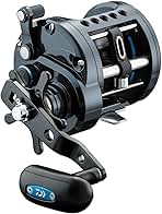 Amazon.ca: Daiwa Saltist