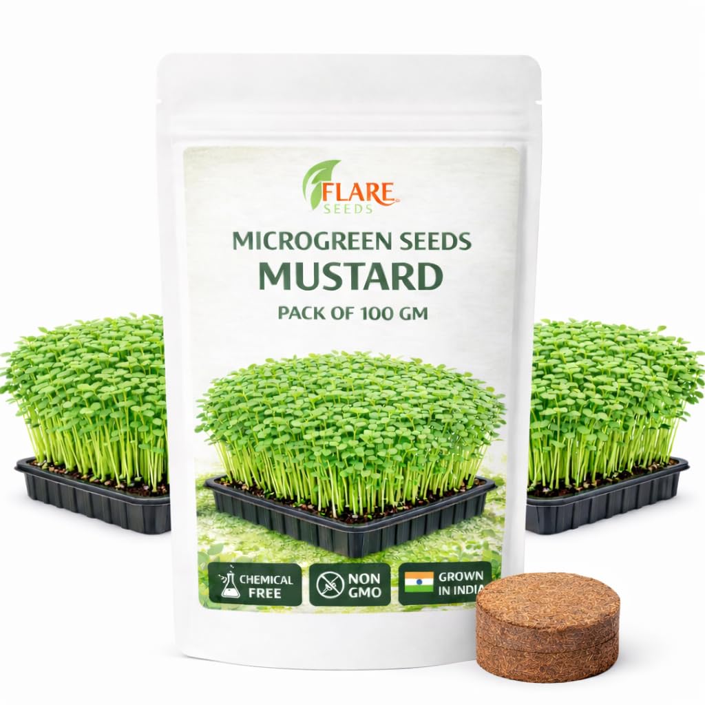 Mustard Microgreen Seeds, Chemical-Free Non-GMO, 100 gm Pack with Coco Disk, Rich in Antioxidants and Nutrients, Grown in India-image-46