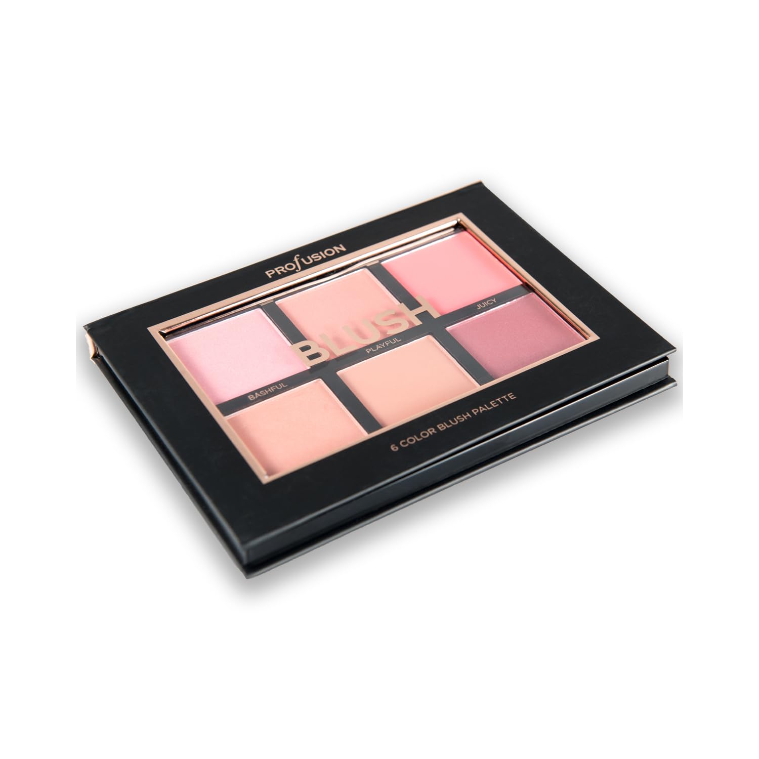 Profusion Cosmetics Blush- 6 color blush palette (Pack of 1)