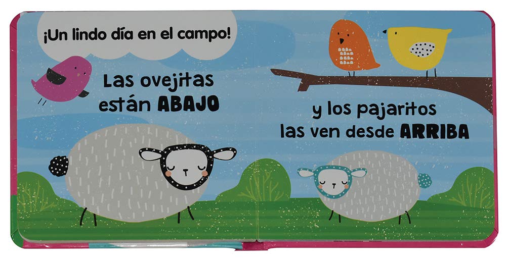 Maletitas Bebé Grande Y Pequeño Contrarios