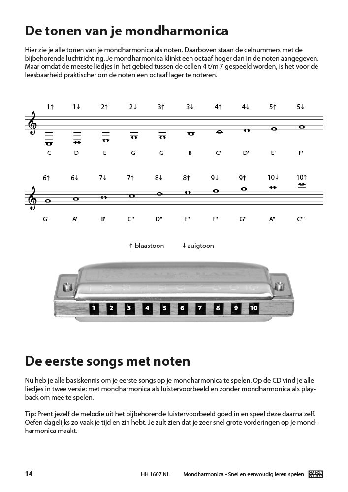 CASCHA Mundharmonika Lern-Set inklusive hochwertiger Harmonika in C-Dur diatonisch, Niederländischer Einsteiger Schule, Case und Pflegetuch, ideal für Anfänger und Erwachsene