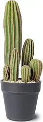 Cactos artificiais, cactos falsos, 40,6 cm, plantas para decoração de casa, jardim, escritório, loja