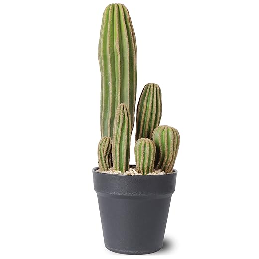 Artificial Cactus Fake Cactus 16 Inch Faux Cacti Plants for Home Garden Office Store Decoration