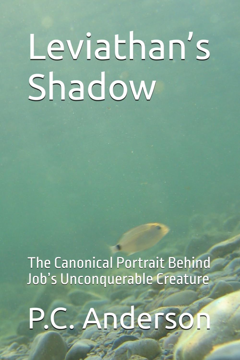 Leviathan’s Shadow: The Canonical Portrait Behind Job’s Unconquerable Creature: 1 (Leviathan and Behemoth)