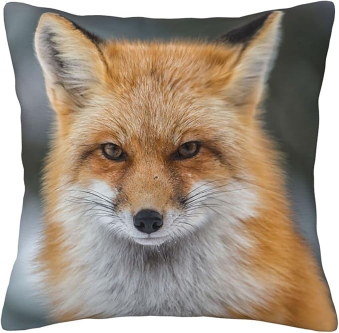 Fuchs-Kissen, 45,7 x 45,7 cm, für Wohnzimmer, Schlafzimmer, Sofa, Couch, Outdoor-Kissenbezüge