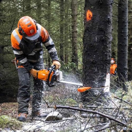 Sitkagreni, alaska&ouml;sp og ke&eth;jus&ouml;gin