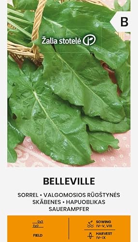 Zalia stotele | OSEILLE - BELLEVILLE Graines | Graines de Légumes | Oseille Graines | Graines de Plantes | Graines de Jardin | 1 Paquet Cover