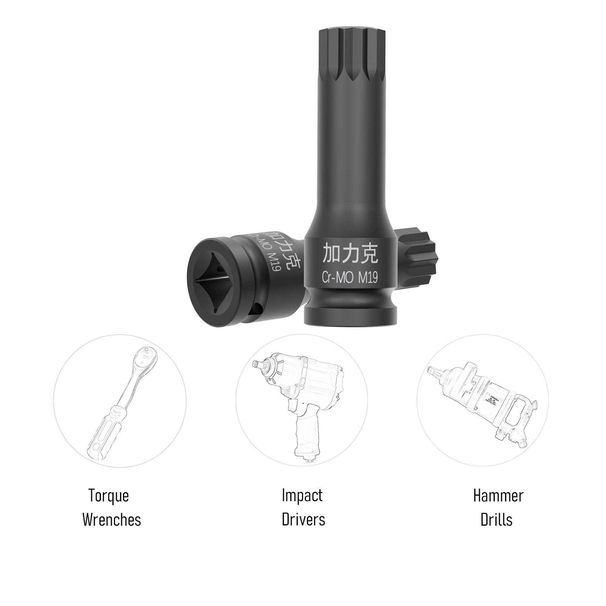 Stecknuss 1/2 Zoll Antrieb M19 XZN Dreifach-Vierkant – 78mm Lang, Aus Chrom-Molybdän-Stahl (CR-MO)