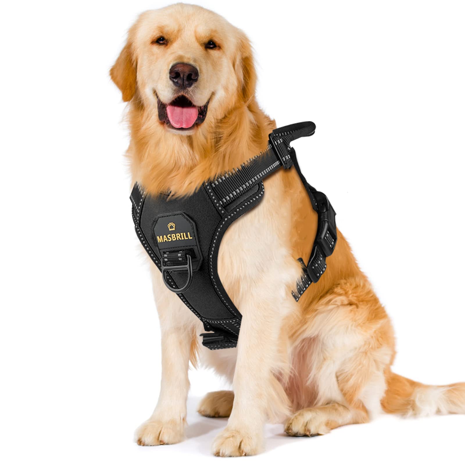 MASBRILL Dog Training Collar with Remote