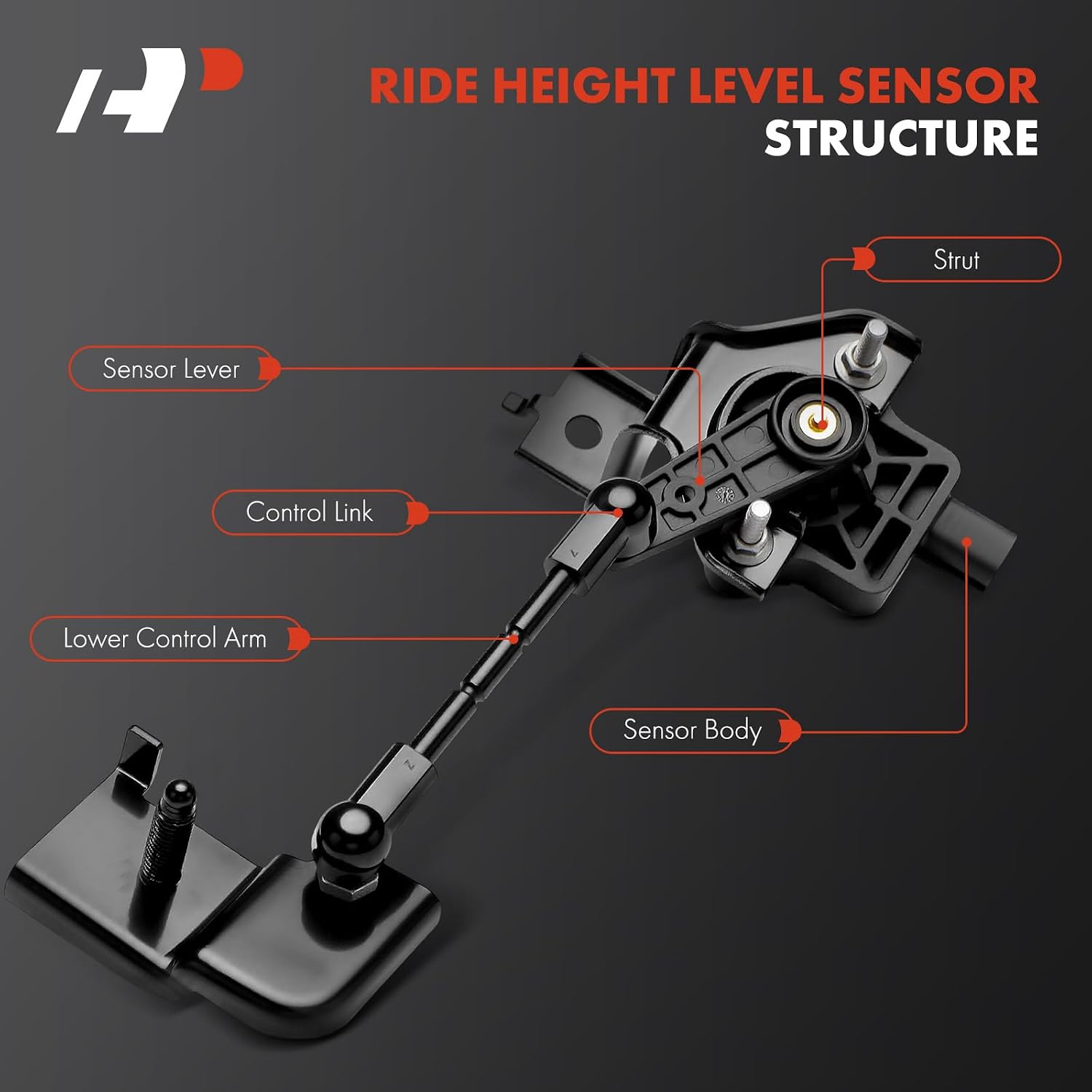 A-Premium Ride Height Level Sensor Compatible with Ford Mustang 2015-2023, Right Passenger Side