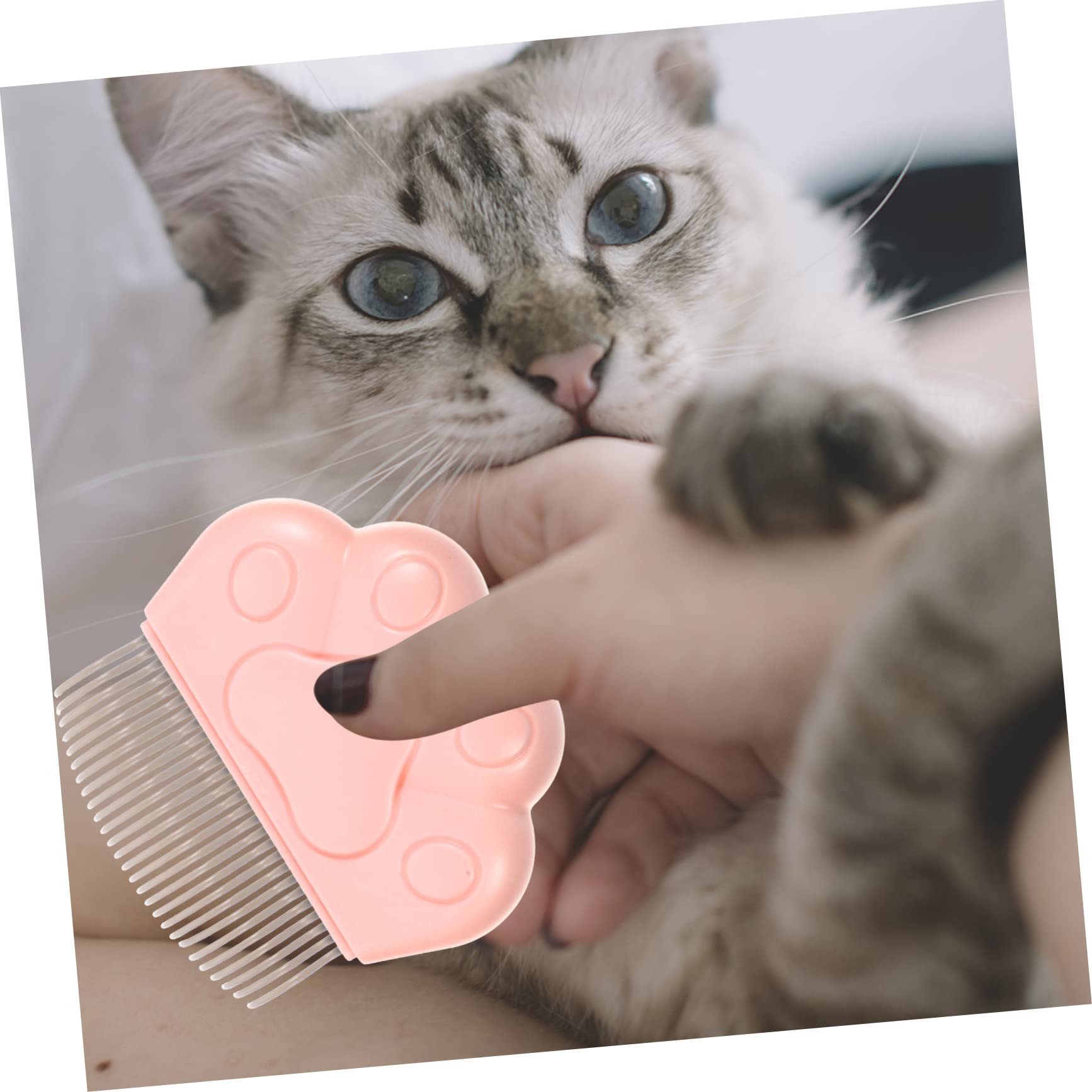 BELLIFFY 2pcs Cat Comb Pet Grooming Brush for Cats Pet Hair Remover Dog Grooming Comb