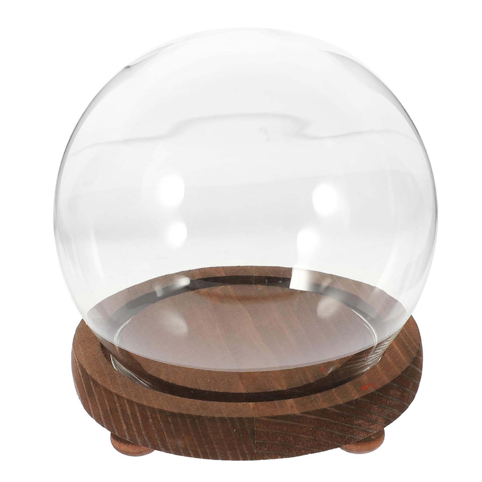 Ciieeo Transparent Glass Display Dome with Base Cloche for Flowers Candles and Miniature Decor for Home Office and Creative Displays