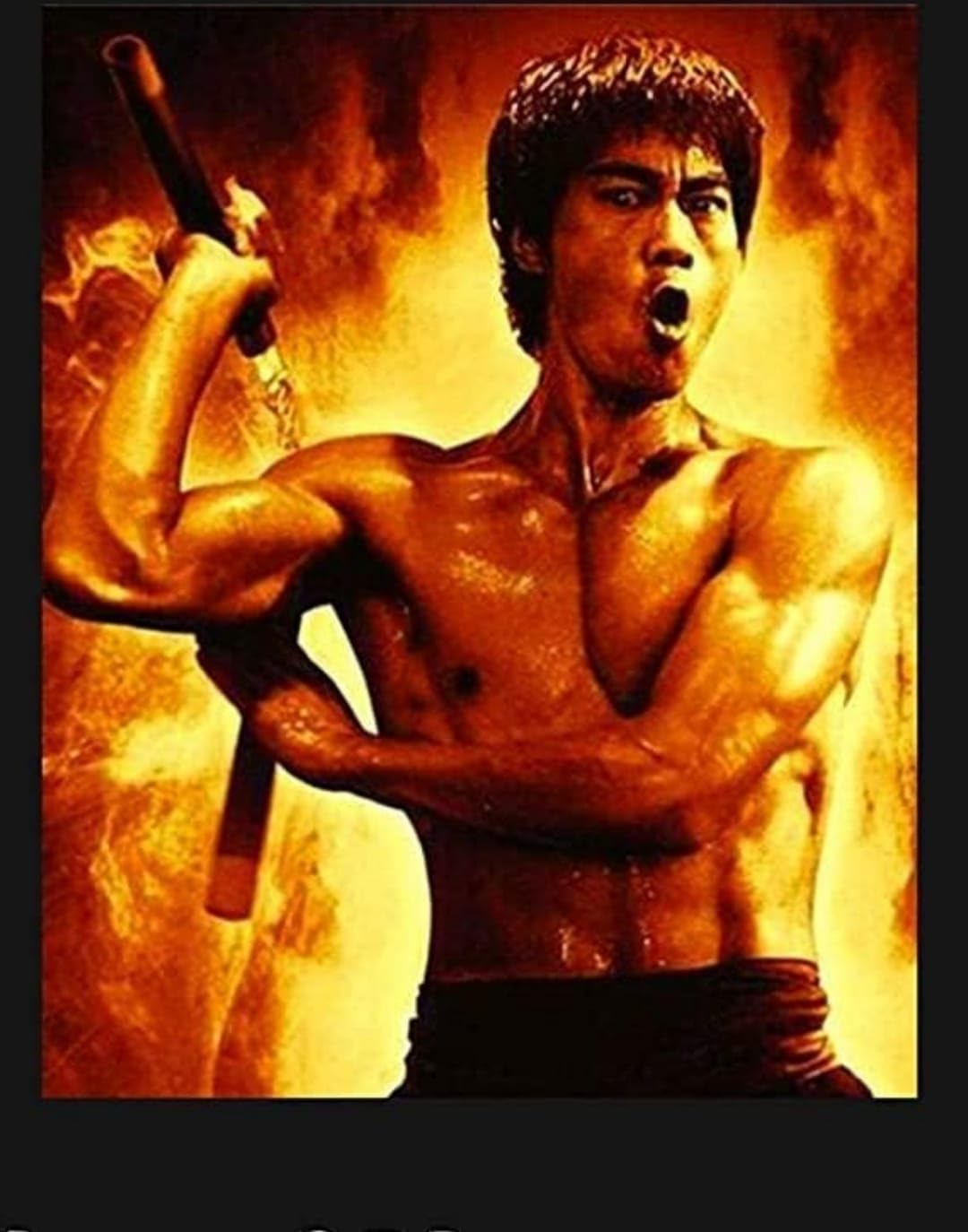 IOYIE Wooden Nunchaku Martial Arts Karate Nunchaku (Bruce Lee 818