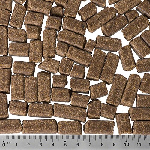 Lukullus Hundefutter Huhn & NORTHERN Wild Lachs. Eine heathly ausgewogenen Lebensmittel für Ihren Hund