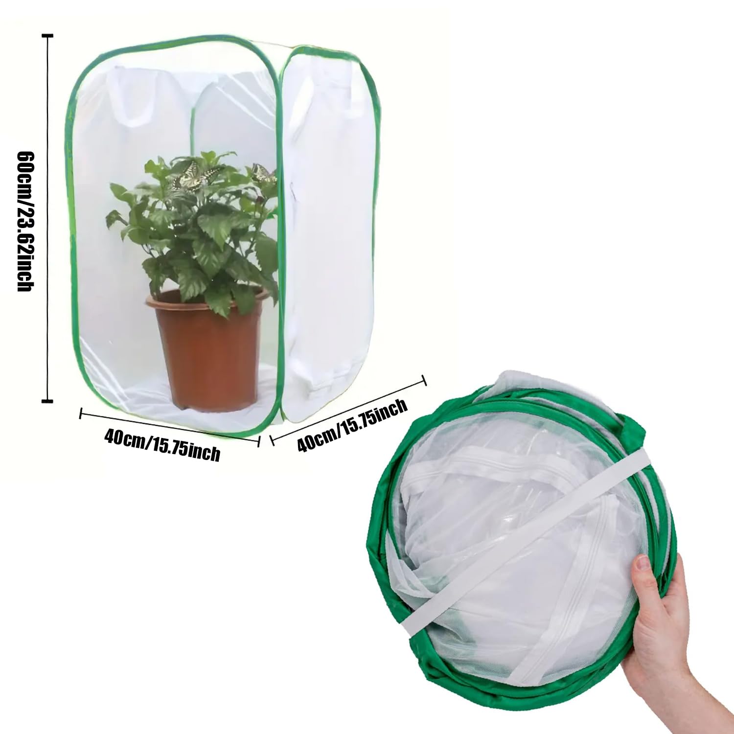 Butterfly and Insect Habitat Cage,Ompinda Collapsible and Transparent Pop-up Butterfly Net Cage for Caterpillars, Flying Insect,Observation Plant - 3