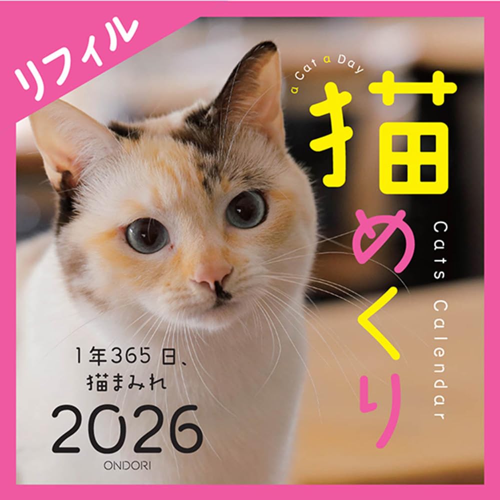 シュレ猫　プリマジ　リフィル12セット+おまけ Amazon.co.jp: Cats Calendar 猫めくり リフィル2026: 1年365日、猫