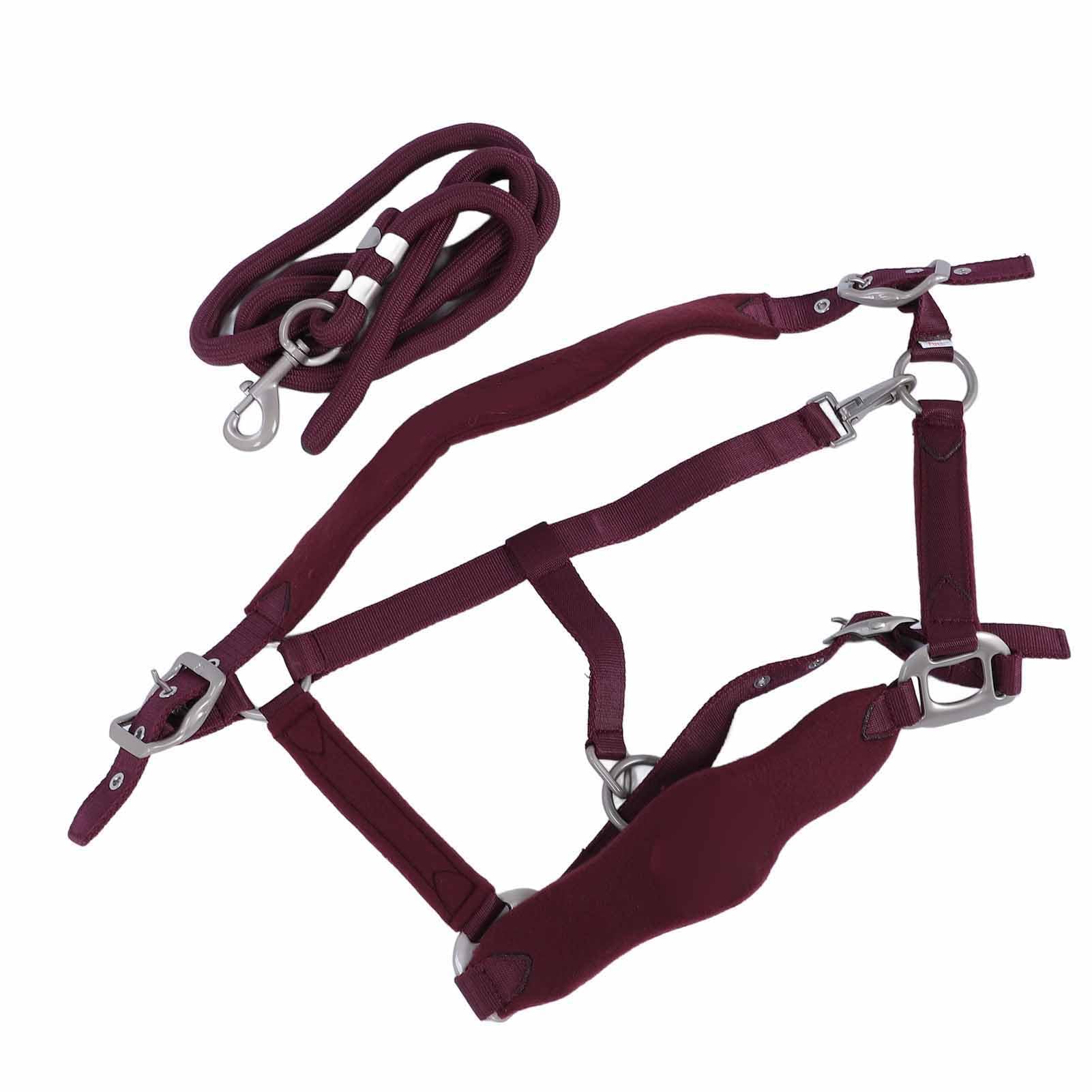 Syrisora Pferdehalter, Leinen Pferdehalter -Leinen -Set, Pferde -Halfter -Set Verhindern, DASS EIN Verstellbares Pferdtraining Halfter mit 2 M Pferdeleine für das (S 805x380x25mm)