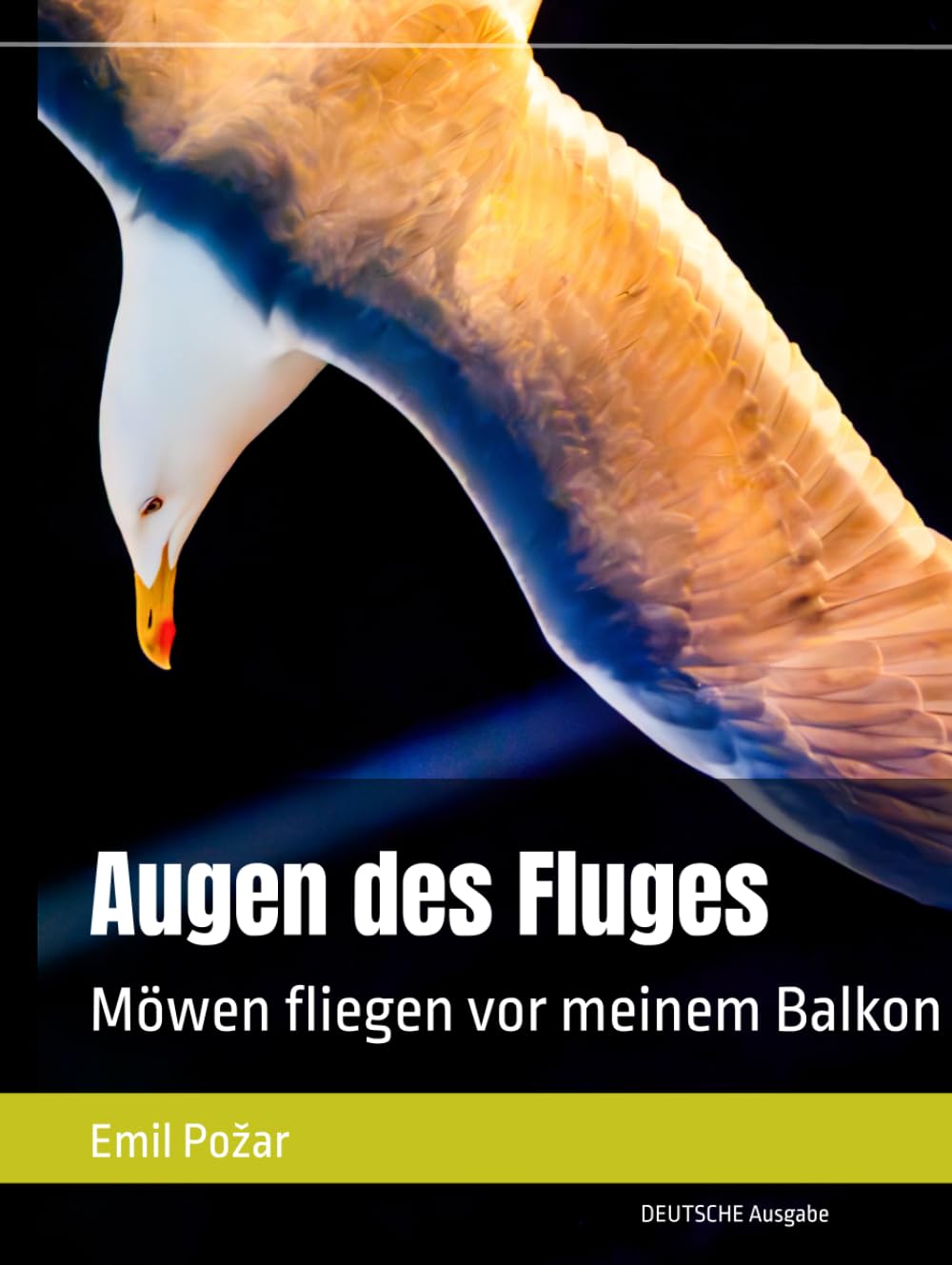 Augen des Fluges: Möwen fliegen vor meinem Balkon
