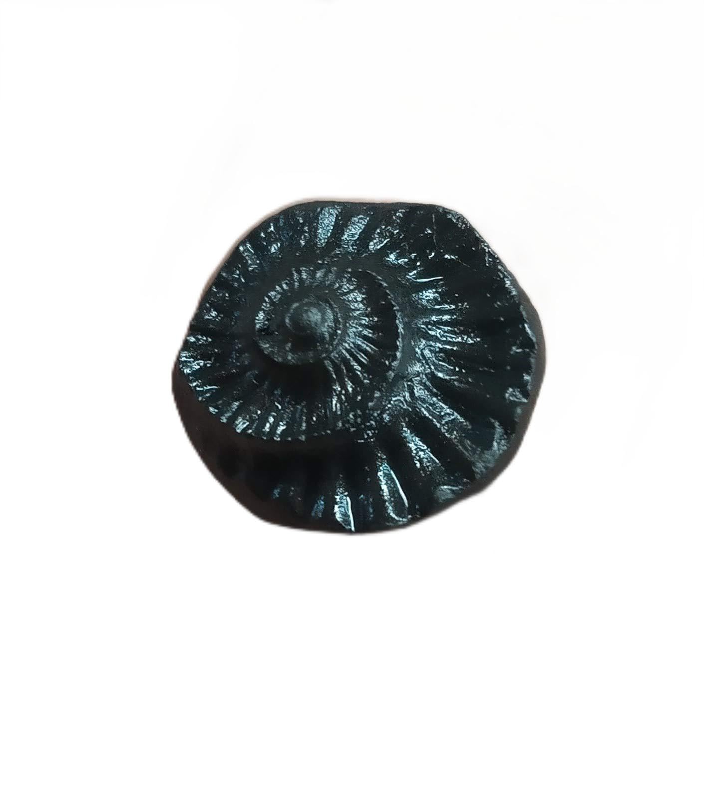 Authentic Nepal Shaligram Stone - Vishnu Symbol -1 Authentic Nepal Shaligram Stone - Vishnu Symbol -1