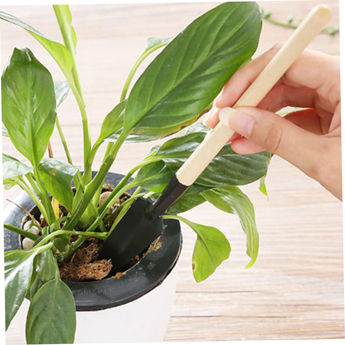 Set di strumenti, kit per trapianto manuale da mini giardino da 14 pezzi, strumenti professionali per la cura delle piante per cactus