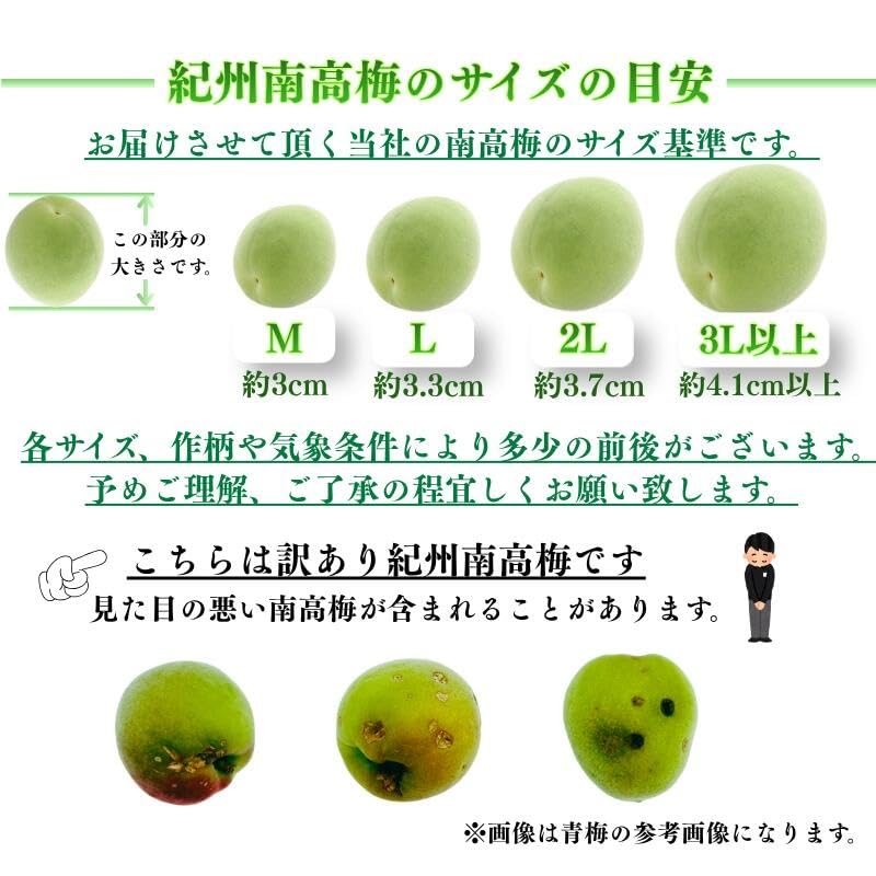 Amazon.co.jp: [みさわのやさい] 南高梅 生梅 完熟梅 訳あり サイズ