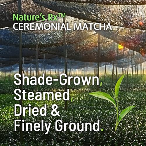 Té verde matcha ceremonial en polvo 100g miniatura 7