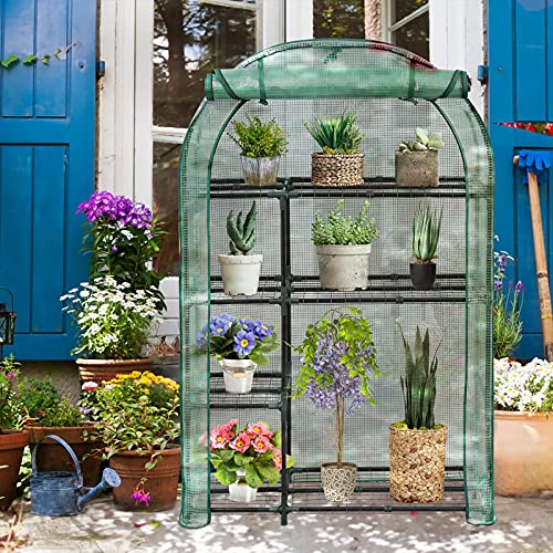 Meetleisure Greenhouse-4-Tier Indoor Outdoor Greenhouse For Outdoor Sturdy Portable Shelves-Grow Mushroom Grow Kit For Plants, Seedlings, Herbs, Or Flowers Gardening Rack, Green #TOP6
