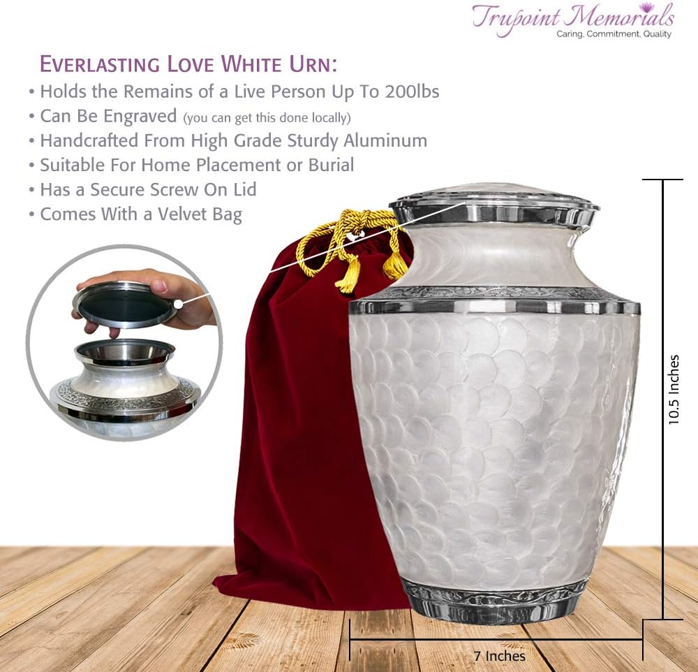 Trupoint Memorials Cremation Urns for Adult - Holds 0.75 Lbs. Per Mini Urn, 2.75" x 1.75" Mini Cremation Urns, Keepsake Burial Urns with Case & Bags - White and Silver.