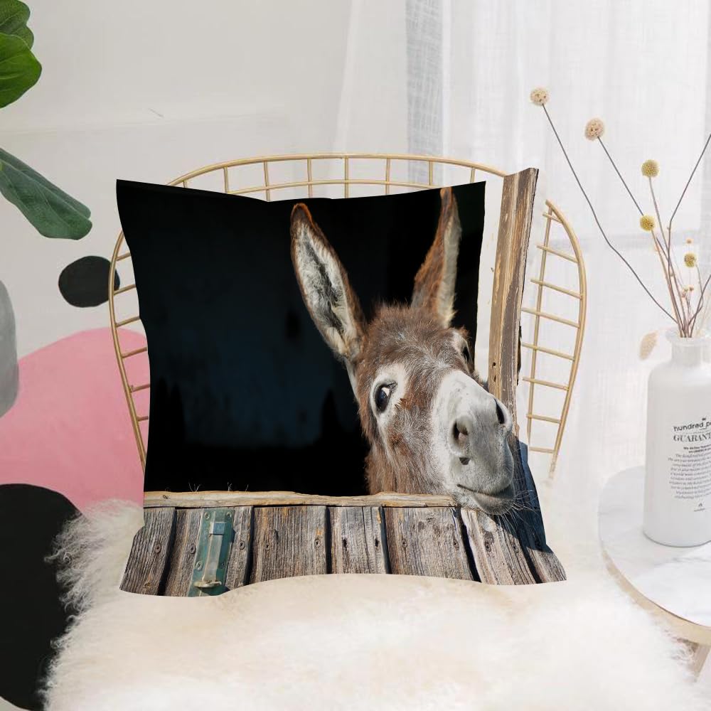 HYMSXW Cushion Cover,Throw Pillow Case Home Decorative for Living Room Bedroom Sofa Chair 20X20 Inch,Donkey Animal Lover Cute Funny Donkey,Pillowcase 50X50cm