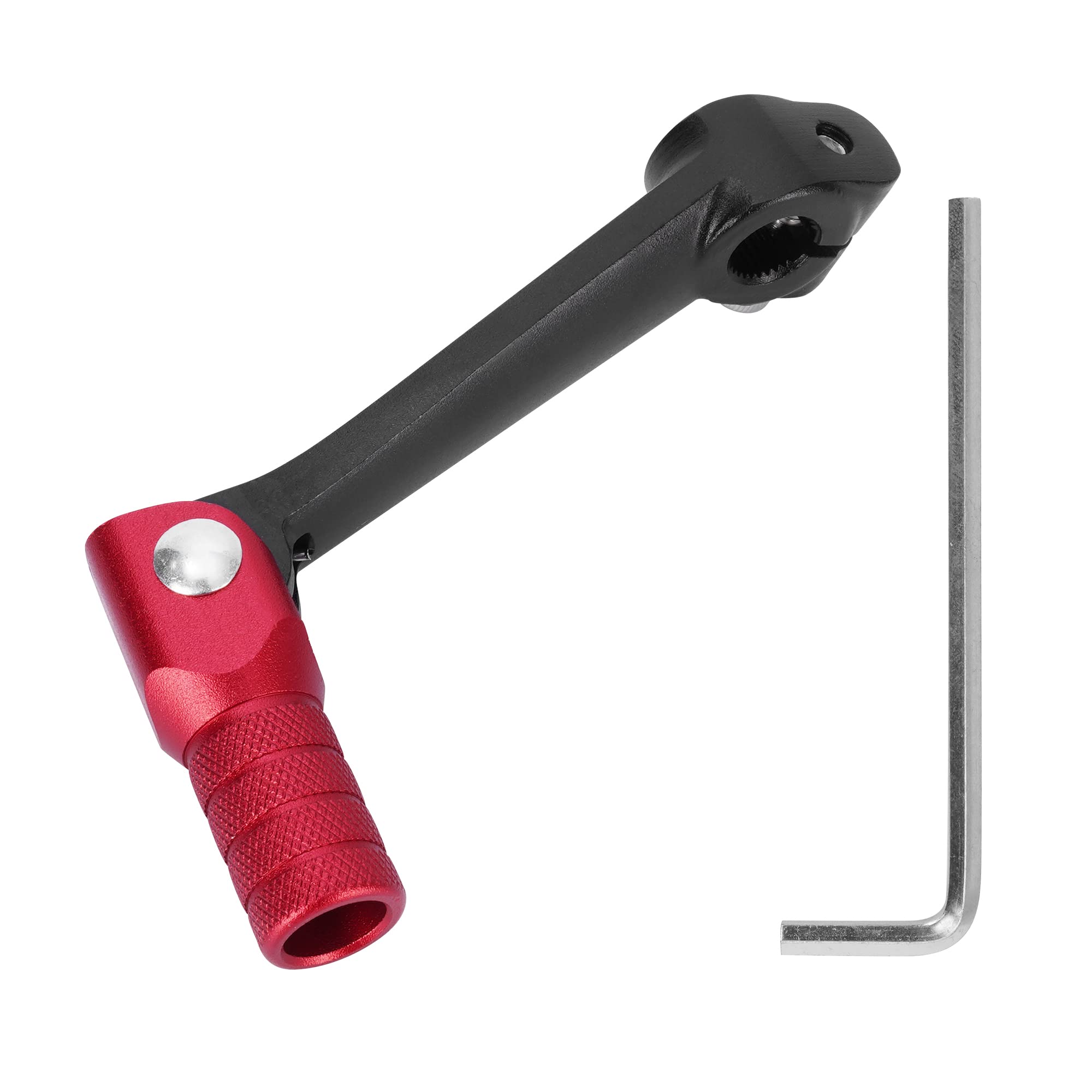 チベットタンカ　龍 ブータン四神獣のタンカ（龍、鳥、虎、獅子）