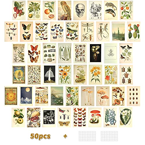 SIYINGSAERY 50 Stück Poster Collage Kit Vintage Karten Wand Collage Kit Aesthetic 4' x 6' Collage Druck Set Kit mit Doppelklebeband Indie Raumdekoration Wandcollage Kit für Schlafzimmern Büros