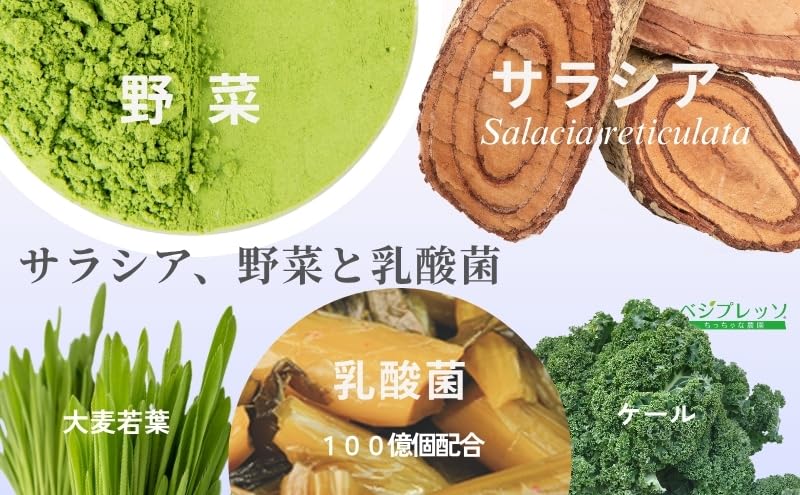 Amazon | 【無添加青汁】サラシア青汁（5g×30包） 無添加 サラシア