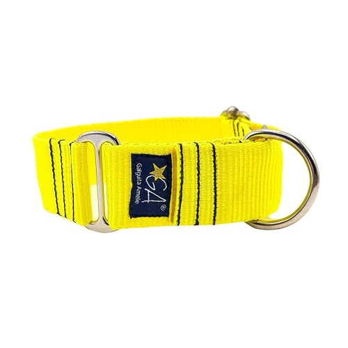Galguita Amelie Collar Martingale Nude Amarillo Fluor (4M)