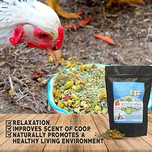 Nesting Herbs For Backyard Chickens 8 Pounds - Scent Of Spring - Keep Laying Hens Happy, Healthy And Relaxed #TOP1