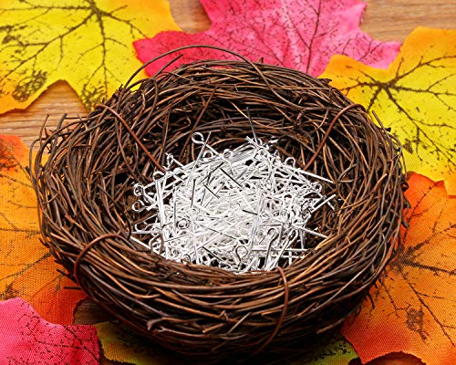 Shapenty 200Pcs Mini Metal Wire Eyepins Beading Small Open Eye Head Pins Needles Bulk For Diy Craft Bead Earring Pendant Necklace Bracelet Jewelry Charm Finding Making (24Mm/1Inch, Silver) #TOP1