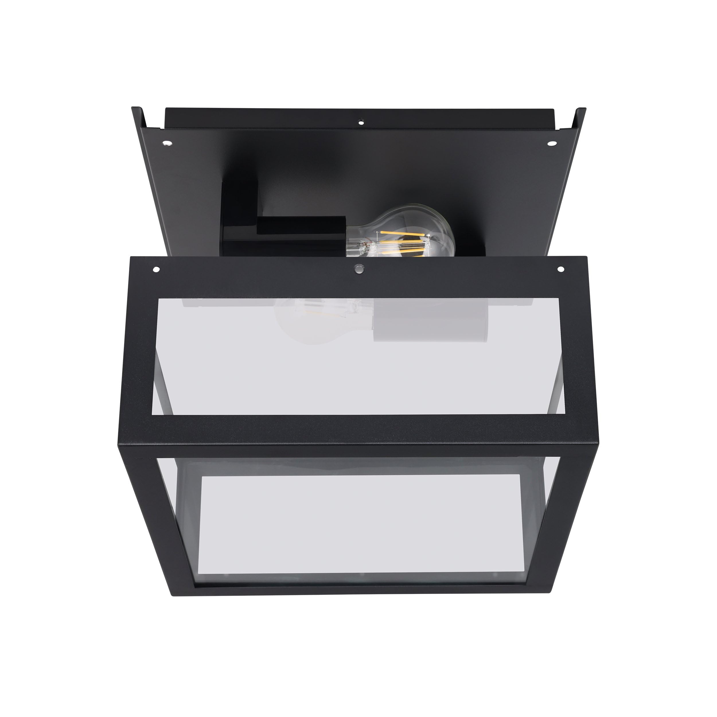 Eglo Amezola Lámpara de techo de 2 focos, aplique de baño estilo industrial, vintage, acero y cristal, negro, transparente, casquillo E27, IP44