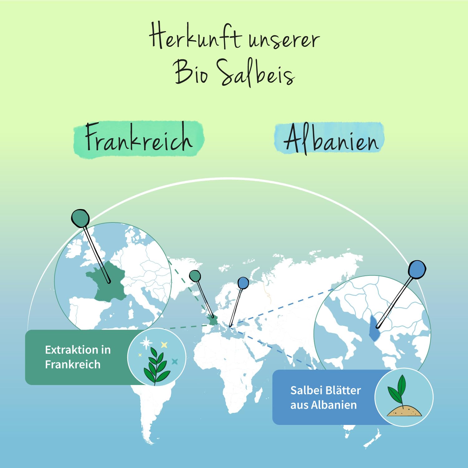 Bio Salbei Kapseln Vegavero | Mit 1% Rosmarinsäure | 500mg Extrakt pro Einheit | aus Frankreich | Starkes Schwitzen | Hitzewallungen Wechseljahre | 120 Stück | Vegan