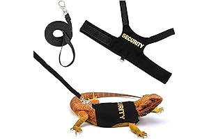 Bearded Dragon Leash