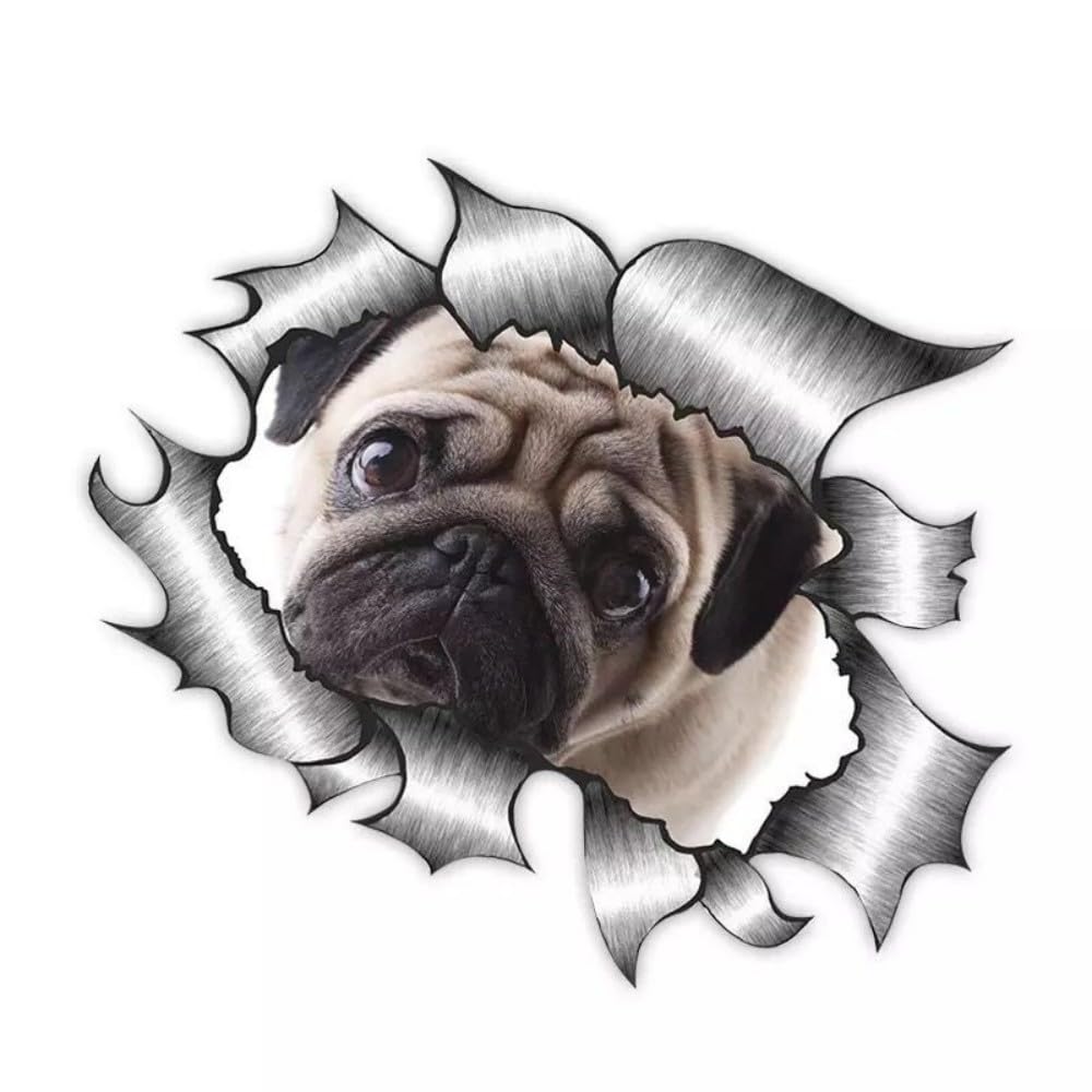 Französische Bulldogge Aufkleber, 3D Zerrissener Effekt, Was