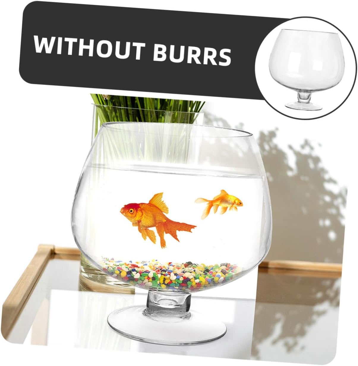 BESPORTBLE Glass Fish Vase Tabletop Betta Fish Tank 5000ml Ecological Aquarium Bowl for Desktop Hydroponic Landscaping