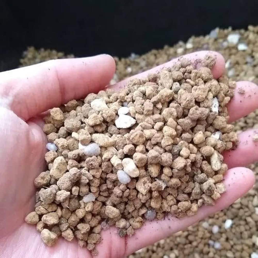 Amazon | 【2L×5個セット】塊根植物用の土(ベストミックス)（当