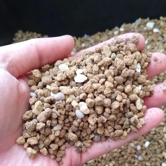 Amazon | 【2L×5個セット】塊根植物用の土(ベストミックス)（当園にて