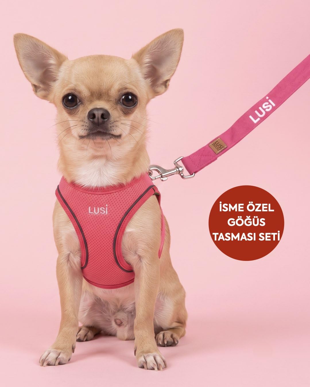 İsimli Köpek Göğüs Tasması Airmesh İsme Özel Göğüs Tasması ve Gezdirme Kayışı Seti I Küçük ve Orta Irk Köpekler I Renk Seçenekli (Pembe, XS)