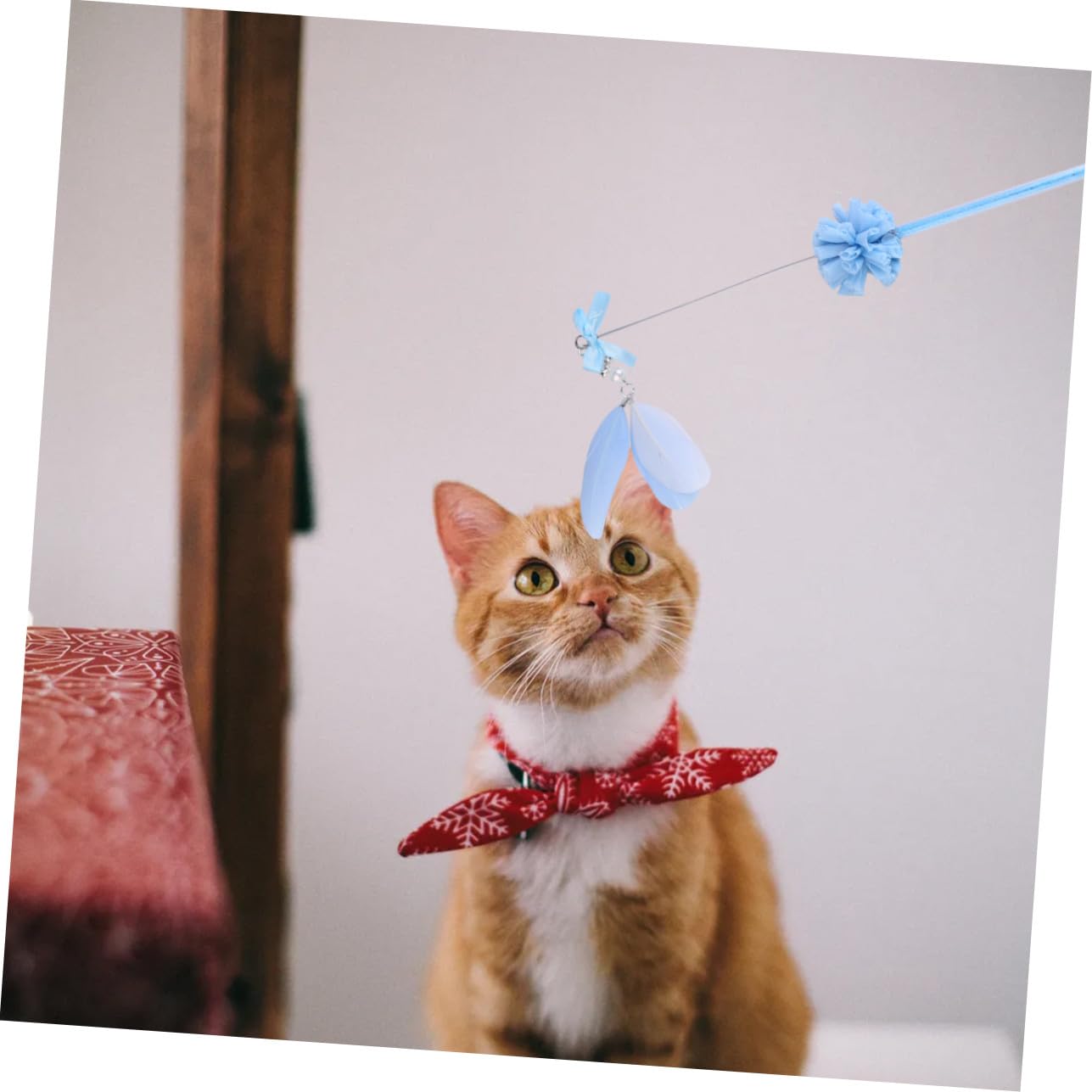 FRCOLOR 9stücke Teiliges Katzeninteraktives Spielzeugset Mit Federn Und Glöckchen Hängendes Katzenspielzeug Für Aktiven Spielspaß Und Gesunde Bewegung Und Ansprechend Für Ihre Katze